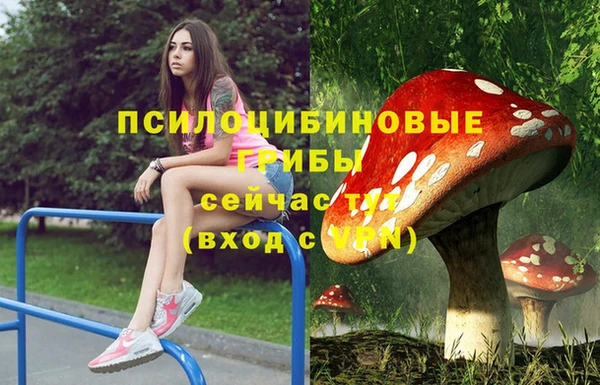 эйфоретик Алексеевка